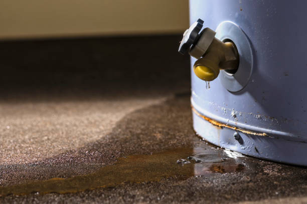Best Commercial water damage restoration  in Rosemont, IL
