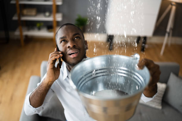 Best Basement water damage restoration  in Rosemont, IL