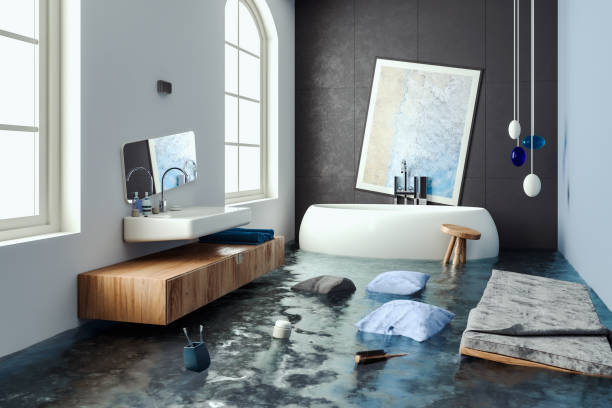 Best 24/7 water damage repair  in Rosemont, IL