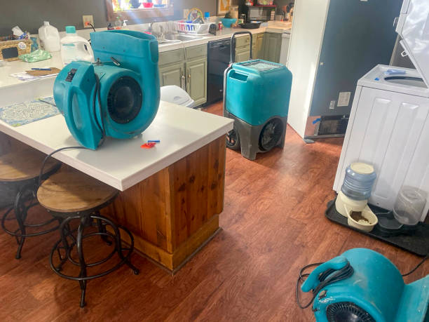 Reliable Rosemont, IL Water damage restoration Solutions
