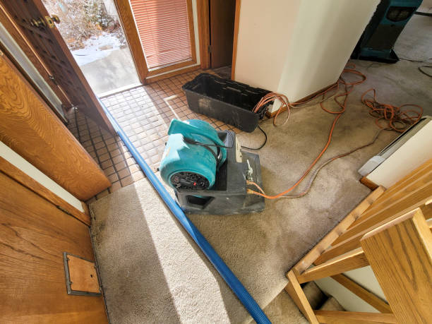 Best Flood restoration services  in Rosemont, IL