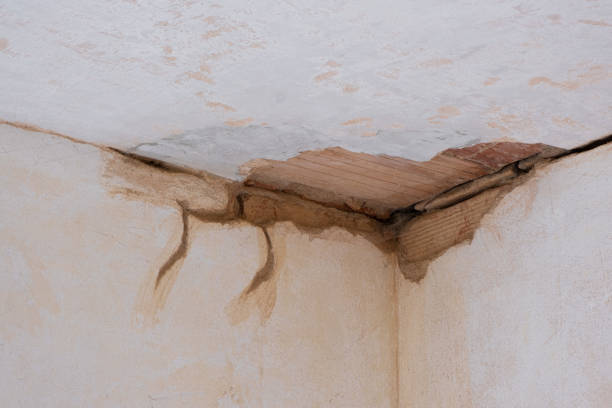 Best Water damage restoration near me  in Rosemont, IL