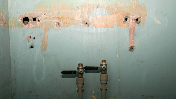 Best Carpet water damage restoration  in Rosemont, IL