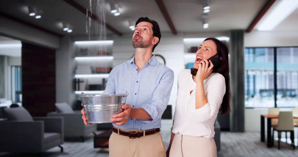 Best Flood damage cleanup  in Rosemont, IL